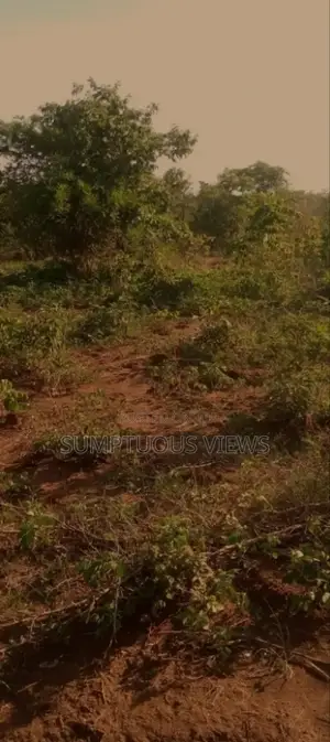 4 Acres of Land