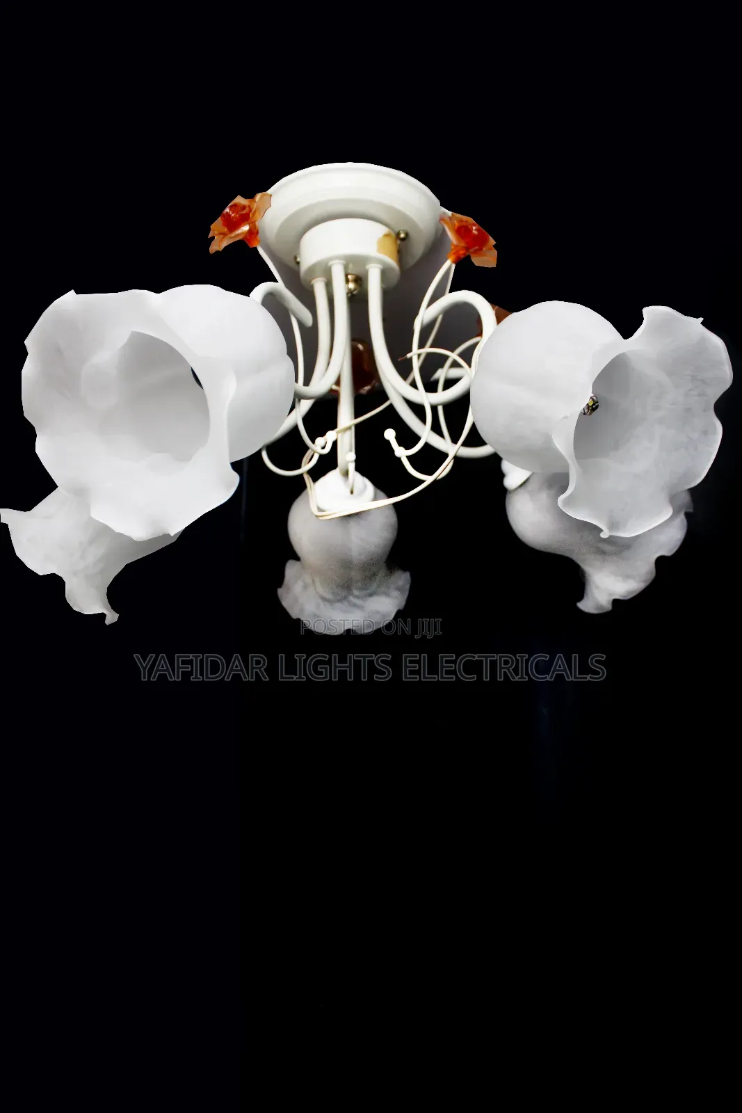 Ceiling Light