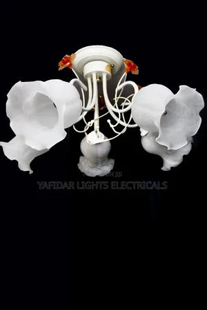 Ceiling Light