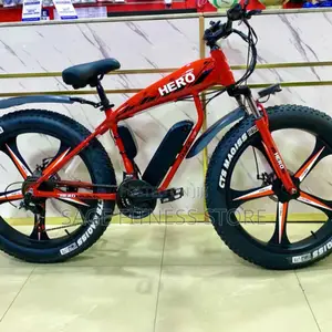 Electric Non Foldable Alloy Rim Bicycle