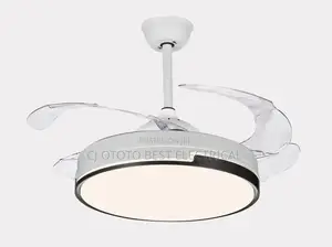 Fan Chandelier Light