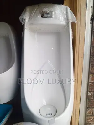 Freestanding Sensor Urinal Bowl