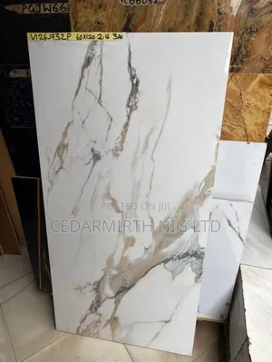 Floor Tile Vitrified ( Cedarmirth ) 03