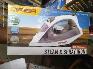 Qasa Steam Spray Iron