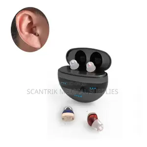 Digital Hearing Aid Type 2