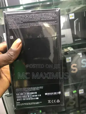New Apple iPhone 12 Pro Max 256 GB Blue