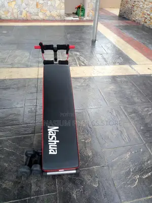 Tummy Trimmer Bench 569