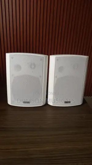 Outdoor Wall Hanging Speaker Ak Super Big Magnet 