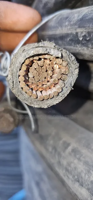 Original 300mm Single PVC Xlpe Insulated Cable