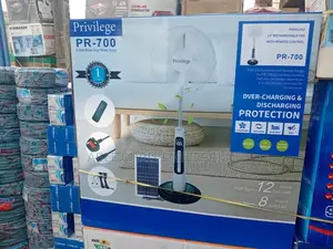 Standing Solar Fan