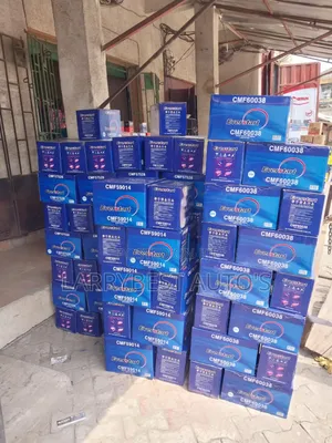 12v100ah 12v90ah Everstart Made in Korea