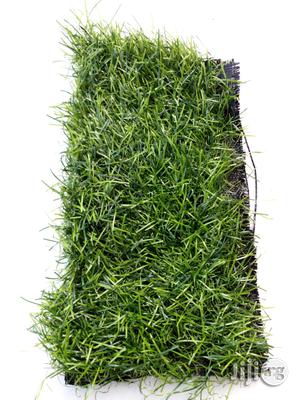 Capet Rug Field Grass