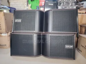 Black Star 10inches Line Array Speaker 2-ways