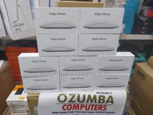 Apple Magic Mouse (Usb-C) Silver