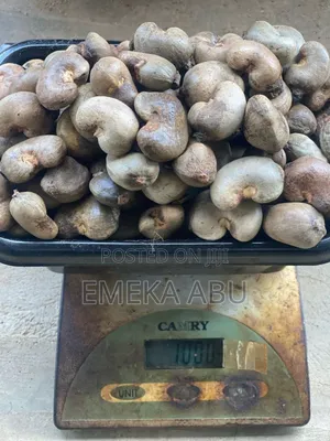 Raw Cashew Nuts