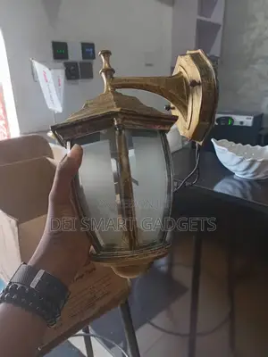 Courtyard Lamp Type Camera