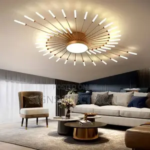 Modern Led Fireworks Ceiling Lamp