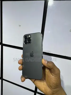 Apple iPhone 12 Pro Max 128 GB Gray