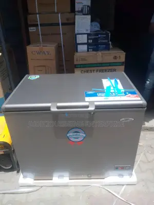 319l Thermocool Inverter Freezer