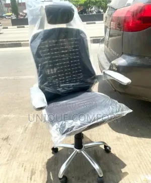 Imported Executive Ergonomic Office Chair With Head Rest