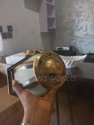 Courtyard Lamp Type Camera