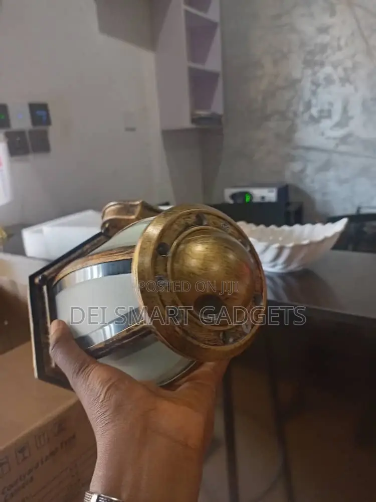 Courtyard Lamp Type Camera