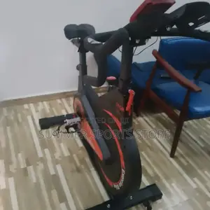 Big Luxury Spinning Bike