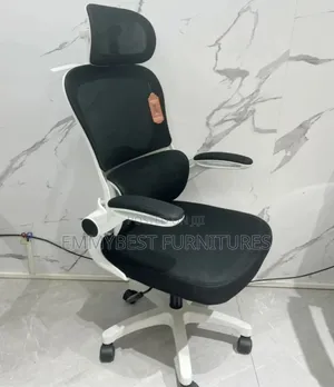 Newly Imported Ergonomic Office Chair