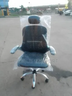 Imported Executive Ergonomic Office Chair With Head Rest
