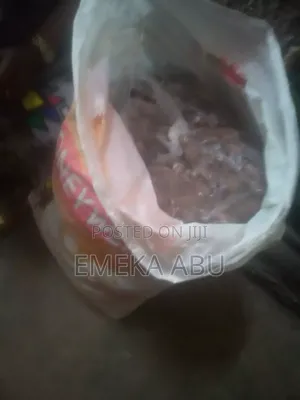 Bitter Kola