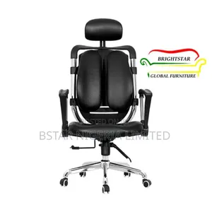 Ergonomic Office Back Support Chair