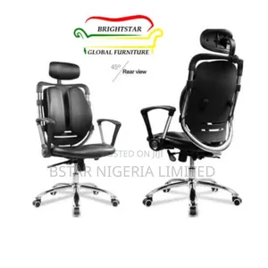 Office Ergonomic Kidney Chair (Lumber Support Chair)