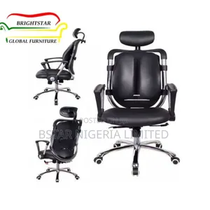 Office Ergonomic Kidney Chair (With Back Support)