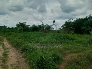 1 Plot of Land for Sale