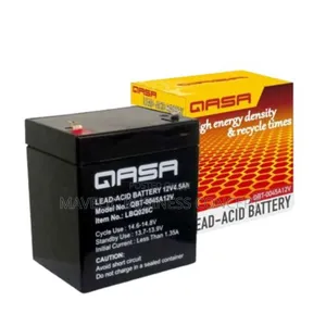 Gasa Lead Acid Battery
