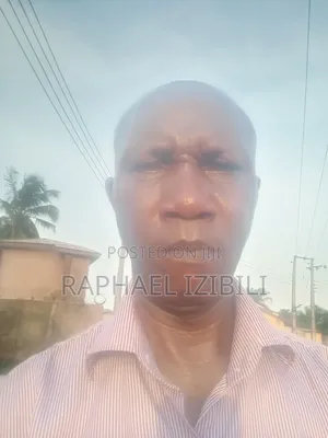 Mr Raphael Izibili
