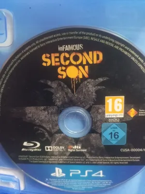 Infamous Second Son