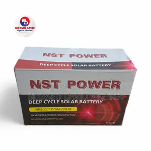 NST Power Battery 12v 9ah Ups Battery (Deep Cycle Solar)