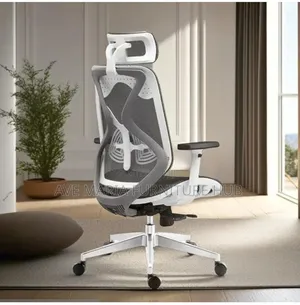 Ergonomic Office Mesh Chair.