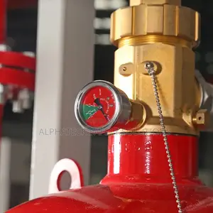 Fm200 Fire Suppression System