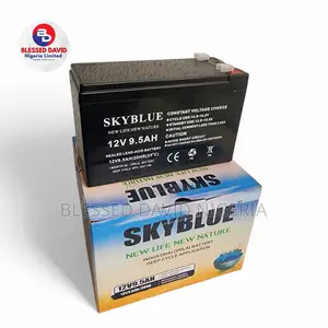 Skyblue 12v 9.5ah Rechargeable Fan / Ups Replacement Battery