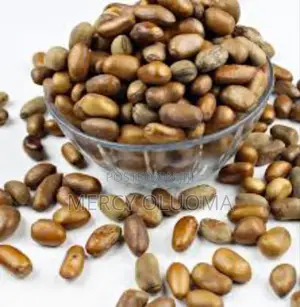 African Nutmeg (Ehuru or Ariwo)