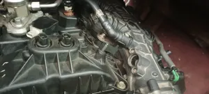 Engine F1 50 V6 2020 2019 Sued With Warranty