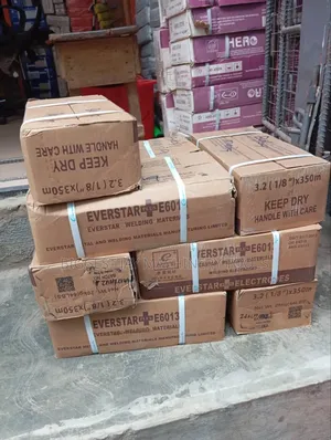 Everstar Electrodes