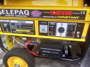 Elepaq Constant 4kva Automatic Generator