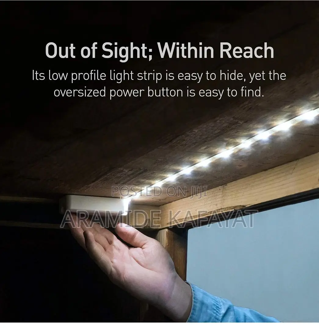 Luminoodle Strip Light