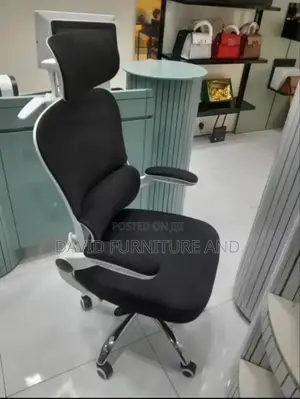 Aesthetic Office Chair