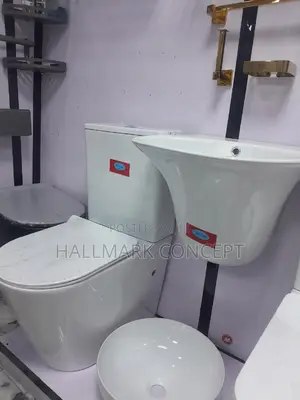 Luxury Back to Wall Water Closets