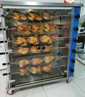 Horbat Industrial Chicken Roaster Machine 18 Chicken At Spot