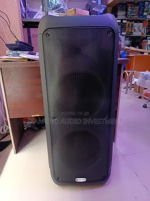 Classic Audio 12inches Party Speaker With Microphone